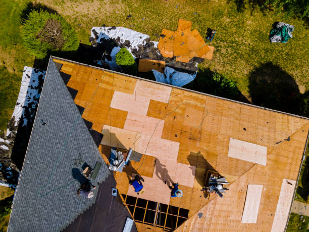 Best Roof Repair Services  in Cahokia, IL