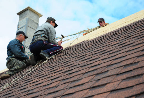 Gutter Installation and Roofing in Cahokia, IL